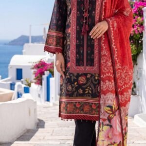 Red multicolour border-printed lawn kurta
