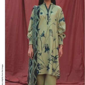 Pistachio green kameez