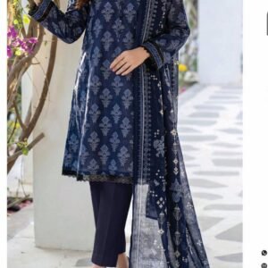 Blue-white printed kameez