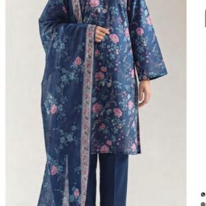 Navy blue kameez
